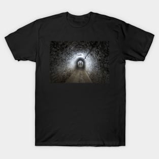 Salt mine from Turda, Romania T-Shirt